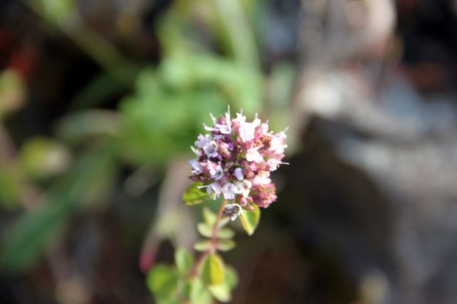 2010 07 13 jeanmarcperfetti.com 047.JPG